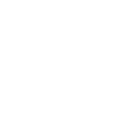 FlashFish product image