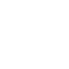 FlashFish product image