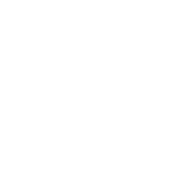 FlashFish product image