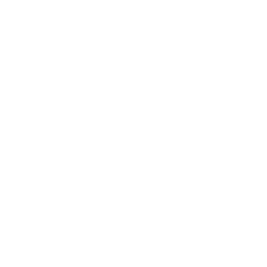 FlashFish product image