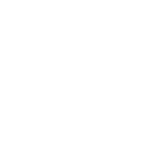 FlashFish product image