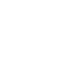 FlashFish product image