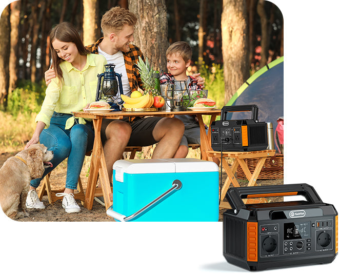 The 2026 European Energy Shift: Why the FlashFish P60 + TSP100 Kit is the Ultimate "Micro-Resilience" Strategy