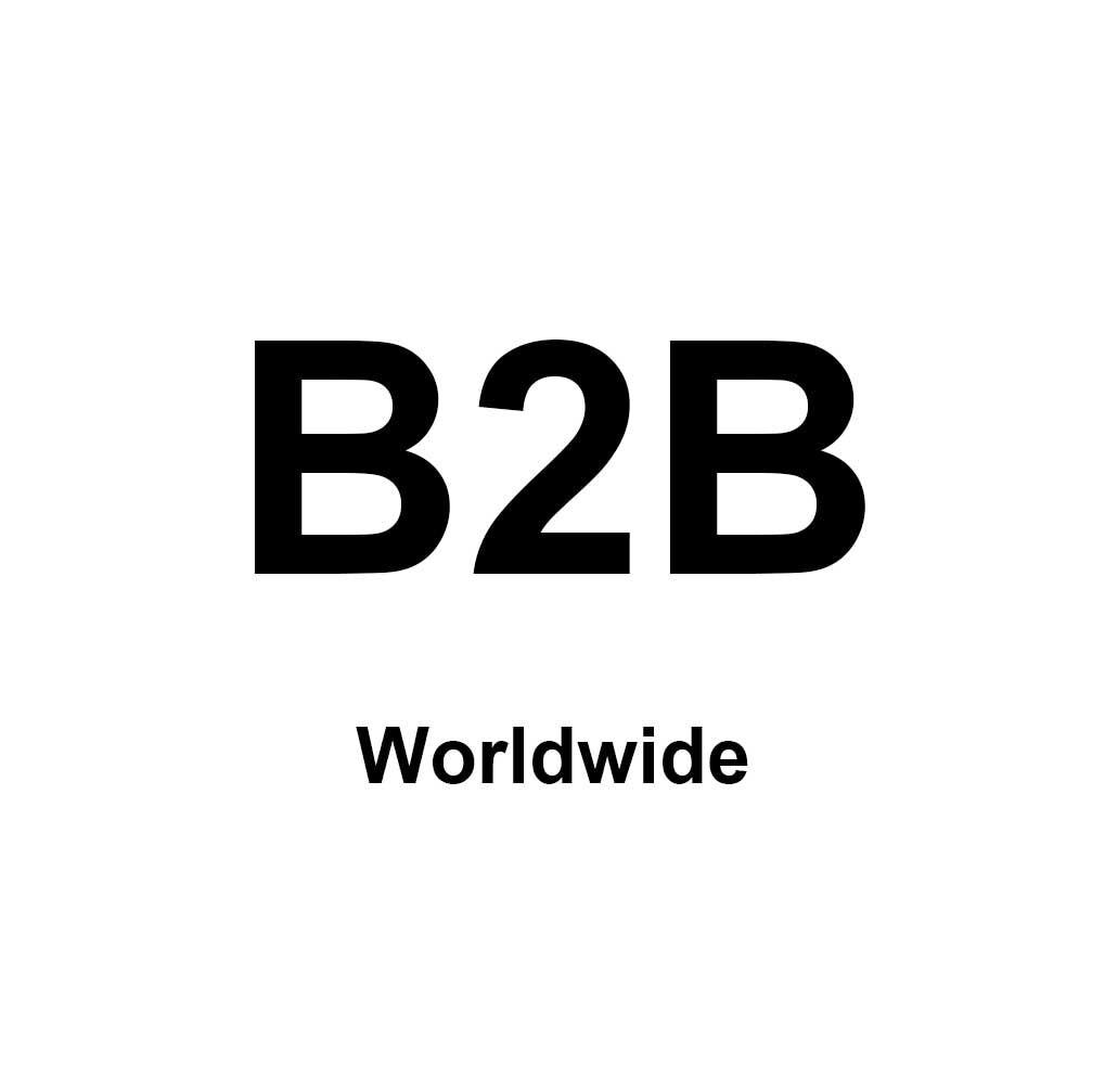 B2B Business - flashfishsolargenerator